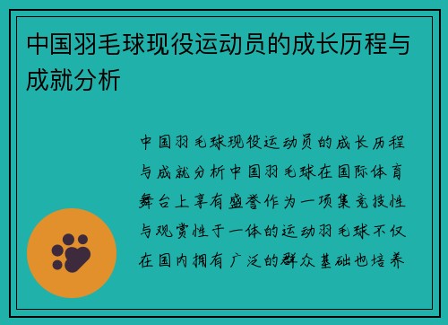 中国羽毛球现役运动员的成长历程与成就分析